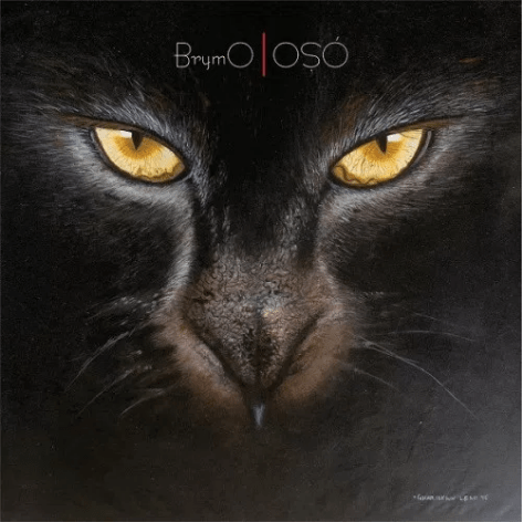 Brymo-Heya@halmblog