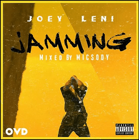 Joey Leni - Jamming