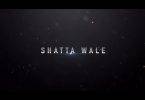 shatta wale gringo teaser