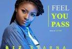 Biz Starna - Feel you pass