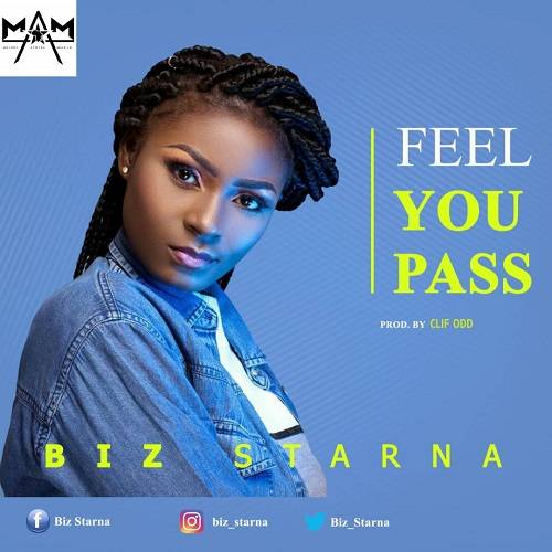 Biz Starna - Feel you pass