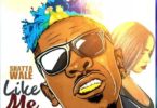 Shatta Wale – Man Like Me (Holocaust Riddim)