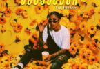 Itz Tiffany – Cotyledon (Prod. By Richie Mensah)