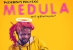 Rudebwoy Ranking – Medula (Prod by CasKeysOnit)