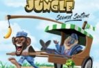 Sound Sultan — Naija Jungle