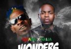 Shatta Wale – Wonders Ft. Olamide