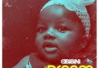 Obibini – The Dream (Prod. by Liquid Beats & Skinny Willis)