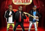 Davido Ft. Peruzzi X Fiokee – Dumebi (Prod. By Fresh VDM)