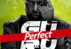 Download MP3: Guru – Perfect (Prod by DareMameBeatz)