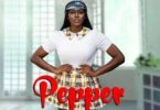 Download MP3: Sefa Ft. Bisa Kdei – Pepper (Prod. Danny Beatz)