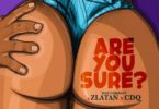 Download MP3: Masterkraft – Are You Sure Ft. Zlatan Ibile x CDQ