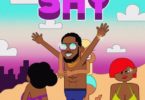 D'banj shy download, Dbanj shy download mp3