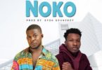 Vybrit Leo – Noko Ft Article Wan mp3 download