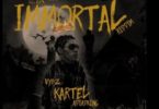 Vybz Kartel – ADIADKING mp3 download (Immortal Riddim)