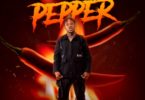 Davolee Pepper mp3 download