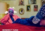 Bosom P-Yung – Wonhuso mp3 download