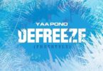 yaa pono defreeze freestyle