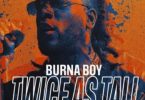 Burna Boy Comma