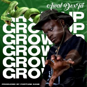 Awal - Grow Up (Prod. By Fortune Dane)