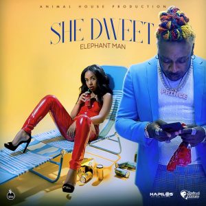 Elephant Man – She Dweet (Prod. by Animal House Production)