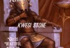 kwesi stone crisis