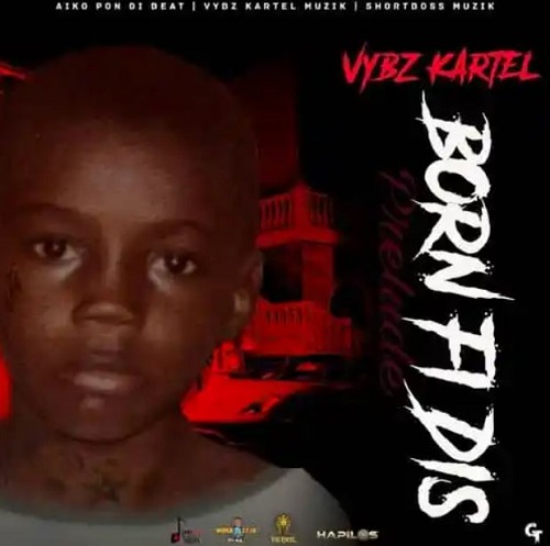 vybz kartel – love ya babymom