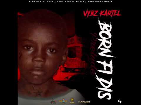 vybz kartel – the law