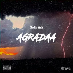 Shatta Wale - Agradaa 