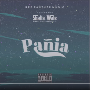 Shatta Wale - Panai