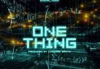 Shatta Wale - One Thing