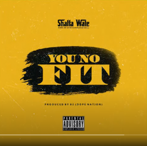 Shatta Wale - You No Fit 