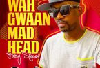 Busy Signal – Wah Gwaan Mad Head