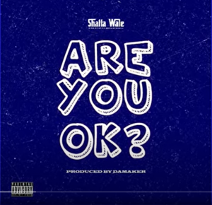 Shatta Wale - Are You Ok?