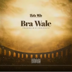 Shatta Wale - Bra Wale