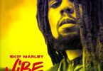 skip marley – vibe ft popcaan