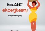 Joint 77 x Dicha - Ekoegbeemi