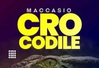 Maccasio - Crocodile