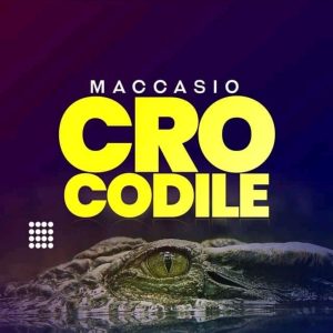 Maccasio - Crocodile