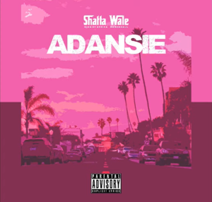 Shatta Wale - Adansie (Testimony)