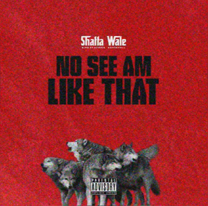 Shatta Wale - No See Am Like That 