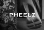 pheelz – folake for the night