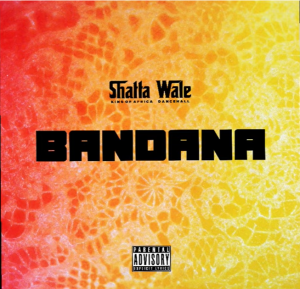 Shatta Wale - Bandana