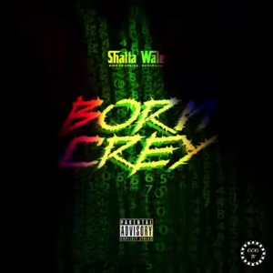 Shatta Wale - Born Crey