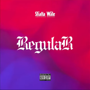 Shatta Wale - Regular