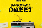 Shatta Wale - Dancehall Dweet