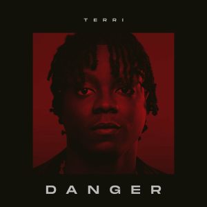 Terri - Danger