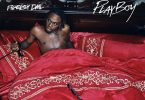 Fireboy DML - Playboy Lyrics