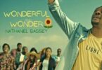 nathaniel bassey – wonderful wonder