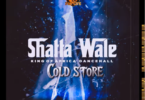 Shatta Wale - Cold Store