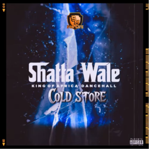 Shatta Wale - Cold Store